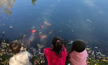 Casa en venta - 4 Dormitorios 3 Baños - Cochera - 1.320Mts2 - La Plata