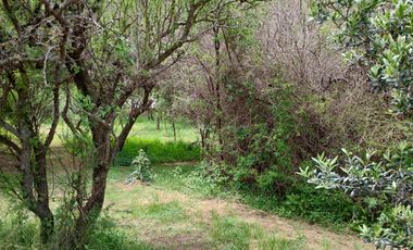 ALQUILER ANUAL | VILLA DE LAS ROSAS Hermosa Propiedad sustentable | Traslasierra