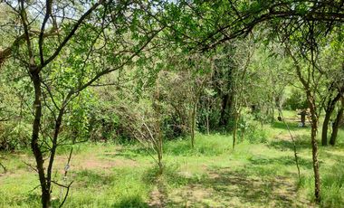 ALQUILER ANUAL | VILLA DE LAS ROSAS Hermosa Propiedad sustentable | Traslasierra