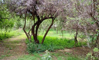 ALQUILER ANUAL | VILLA DE LAS ROSAS Hermosa Propiedad sustentable | Traslasierra