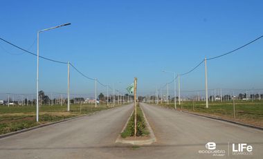 VENTA - LOTE DE 243M2 AVENIDA - BARRIO ABIERTO RESIDENCIAL - ALVEAR