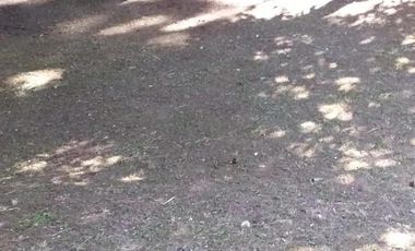 Casa en venta - 1 Dormitorio 1 Baño - Ingeniero Juan Allan