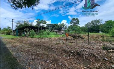 VENDO LOTE DE2500MTS EL.FRANCES