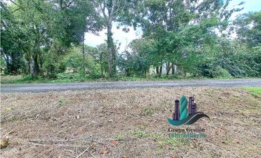 VENDO LOTE DE2500MTS EL.FRANCES