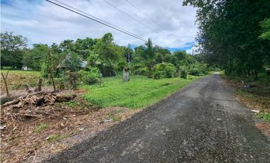 VENDO LOTE DE2500MTS EL.FRANCES