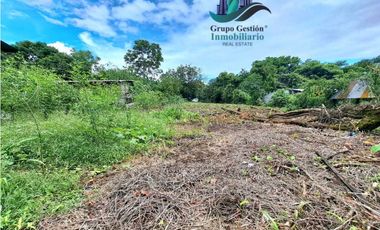 VENDO LOTE DE2500MTS EL.FRANCES