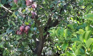 se vende hermosa propiedad