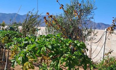 Parcela en venta  en COQUIMBO
