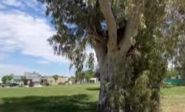 Terreno en venta - 515Mts2 - Santo Tomas, Pilar del Este
