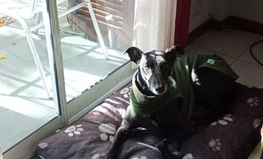 PH en venta - 2 Dormitorios 1 Baño - 52Mts2 - Monte Grande