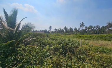 TERRENO EN VENTA-PLAYA EN TUXPAN, VERACRUZ
