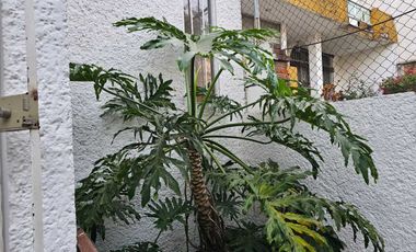 Casa en Renta en Lomas de Tarango