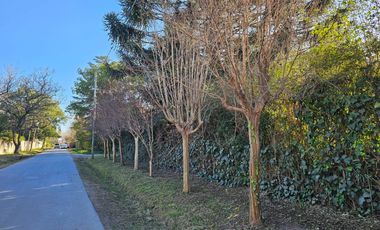 Terreno en venta - 292mts2 - Escobar