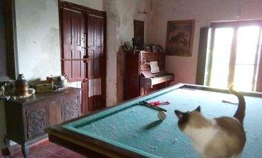 Casa en venta - 3 Dormitorios  5 Baños - Cochera - 6062Mts2 - Magdalena