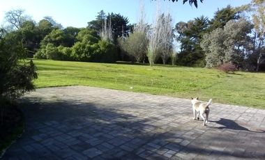 Casa en venta - 3 Dormitorios  5 Baños - Cochera - 6062Mts2 - Magdalena