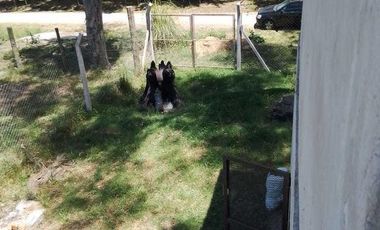 Casa - Canning (Ezeiza)