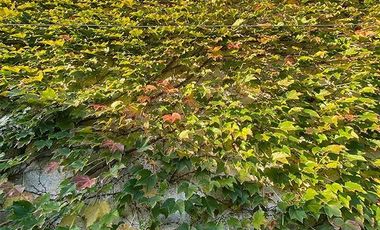 Casa en venta - 2 dormitorios 2 baños - 223mts2  - Bernal Oeste