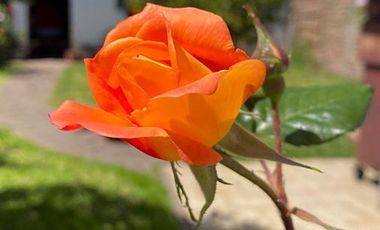 Casa en venta - 2 dormitorios 2 baños - 223mts2  - Bernal Oeste