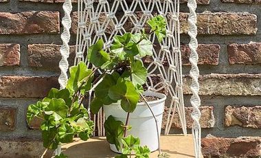 Casa en venta - 2 dormitorios 2 baños - 223mts2  - Bernal Oeste