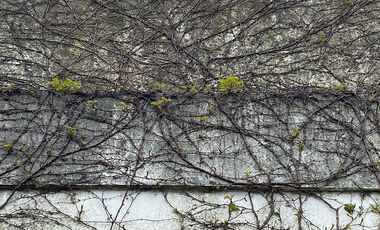 Casa en venta - 2 dormitorios 2 baños - 223mts2  - Bernal Oeste