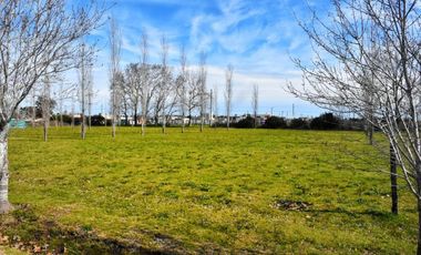 Terreno en venta - 1.586Mts2 - Cañuelas