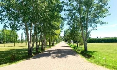 Terreno en venta - 1.586Mts2 - Cañuelas