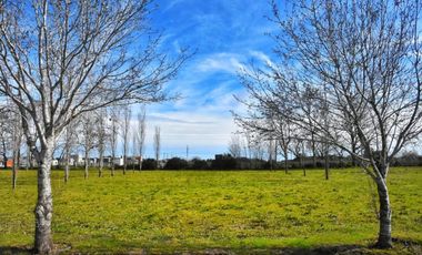 Terreno en venta - 1.586Mts2 - Cañuelas