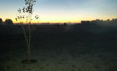 Terreno en venta - 1921.88Mts2 - Cañuelas