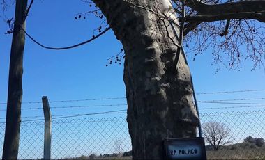 Terreno en venta - 1921.88Mts2 - Cañuelas