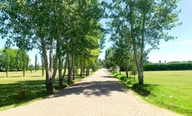 Terreno en venta - 1921.88Mts2 - Cañuelas