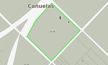 Terreno en venta - 10114mts2 - Cañuelas