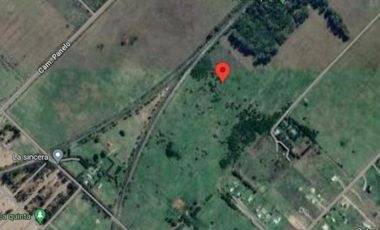 Terreno en venta - 10114mts2 - Cañuelas