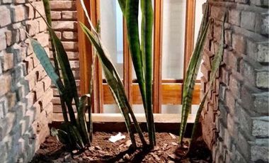 Casa en venta - 3 dormitorios 1 baño - 180mts2 - Chivilcoy