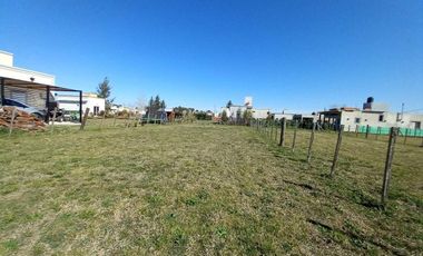 Terreno en venta - 300mts2 - Domselaar Chico