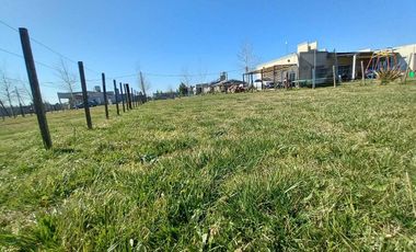 Terreno en venta - 300mts2 - Domselaar Chico