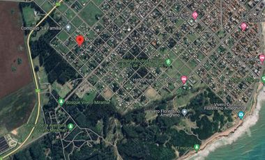 Casa en venta - 2 Dormitorios 1 Baño - 330Mts2 - Miramar