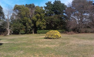 Quinta en venta - 5 dormitorios 3 baños - 396mts2 - Mar Del Plata