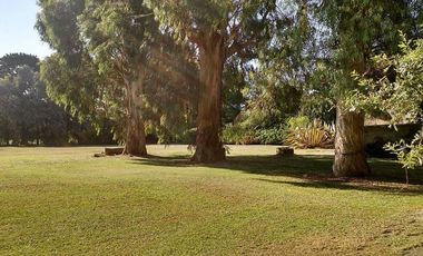 Quinta en venta - 5 dormitorios 3 baños - 396mts2 - Mar Del Plata