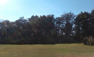 Quinta en venta - 5 dormitorios 3 baños - 396mts2 - Mar Del Plata