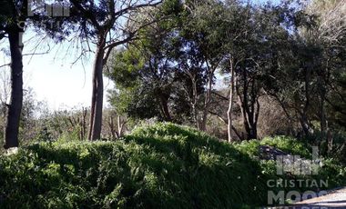 Lote en Venta en Loma verde -