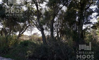 Lote en Venta en Loma verde -