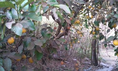 Casa en venta - 4 Dormitorios 2 Baños - 430 mts2 - 9 De Julio