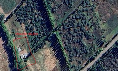 Chacra en venta - 3 Galpones - 40.000Mts2 - Neuquén