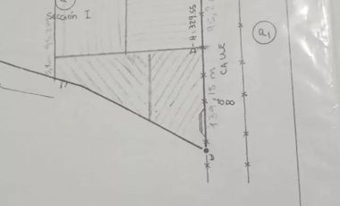 Chacra en venta - 3 Galpones - 40.000Mts2 - Neuquén