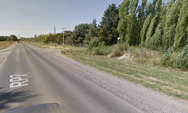 Chacra en venta - 3 Galpones - 40.000Mts2 - Neuquén