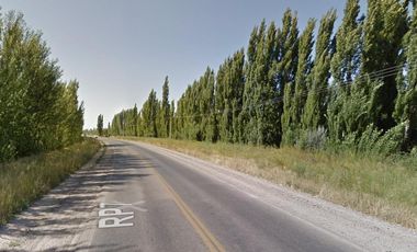 Chacra en venta - 3 Galpones - 40.000Mts2 - Neuquén