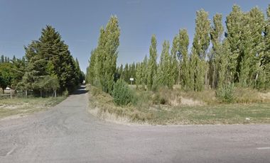 Chacra en venta - 3 Galpones - 40.000Mts2 - Neuquén