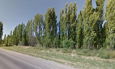 Chacra en venta - 3 Galpones - 40.000Mts2 - Neuquén