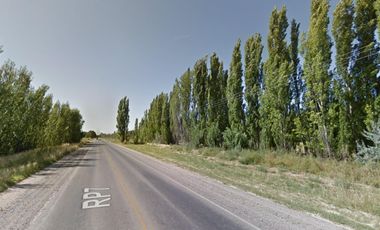 Chacra en venta - 3 Galpones - 40.000Mts2 - Neuquén