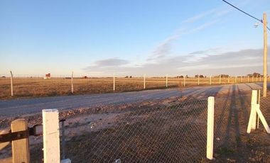 Terreno en venta - 300mts2- Domselaar